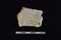 陶片藏品圖，第2張