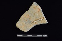 陶片藏品圖，第2張