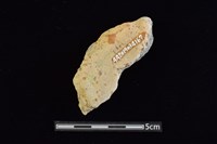 陶片藏品圖，第2張