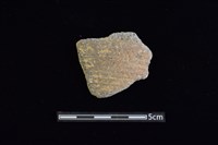 陶片藏品圖，第1張