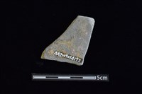 陶片藏品圖，第2張