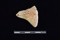 陶片藏品圖，第2張