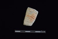 陶片藏品圖，第1張