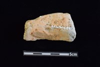 陶罐藏品圖，第2張