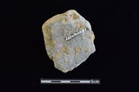 陶片藏品圖，第2張