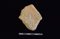 陶片藏品圖，第2張