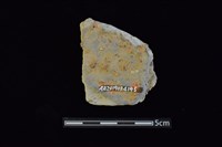 陶片藏品圖，第2張