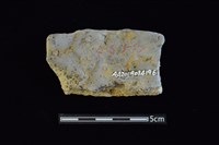 陶片藏品圖，第2張