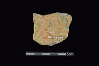 陶片藏品圖，第2張