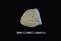 陶片藏品圖，第2張