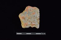 陶片藏品圖，第2張