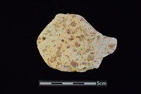 陶片藏品圖，第1張