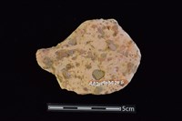 陶片藏品圖，第2張