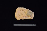 陶片藏品圖，第2張