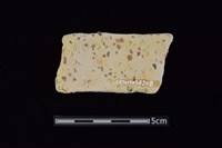 陶片藏品圖，第2張