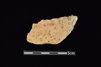 陶片藏品圖，第1張