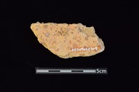 陶片藏品圖，第2張