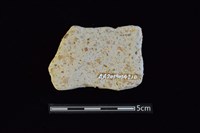 陶片藏品圖，第2張