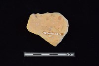 陶片藏品圖，第2張