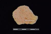 陶片藏品圖，第2張