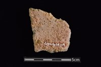 陶片藏品圖，第2張