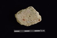 陶片藏品圖，第2張