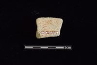 陶罐藏品圖，第2張