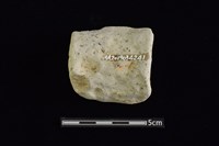 陶罐藏品圖，第2張