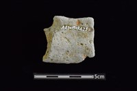 圈足藏品圖，第2張