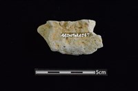 圈足藏品圖，第2張