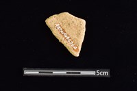 陶片藏品圖，第2張