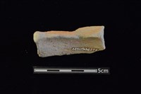 圈足藏品圖，第2張