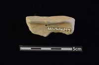 圈足藏品圖，第2張