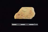 不明器型藏品圖，第2張