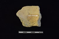 陶罐藏品圖，第2張