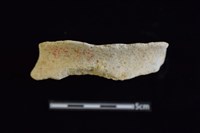 陶罐藏品圖，第1張