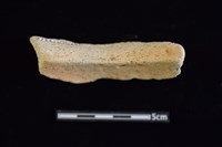 陶罐藏品圖，第2張