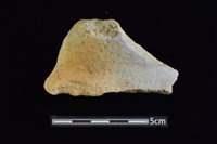 陶罐藏品圖，第1張