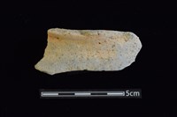 陶罐藏品圖，第1張