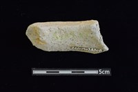 陶罐藏品圖，第2張