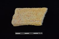 陶罐藏品圖，第2張