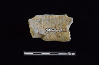 陶罐藏品圖，第2張