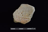 陶罐藏品圖，第2張