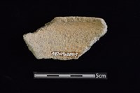 陶片藏品圖，第2張