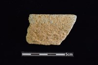 陶片藏品圖，第1張