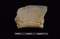 陶罐藏品圖，第2張