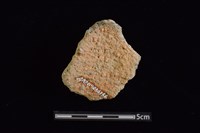 陶罐藏品圖，第2張