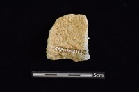 陶罐藏品圖，第2張