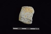 陶罐藏品圖，第2張