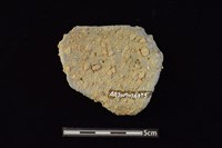 陶罐藏品圖，第2張